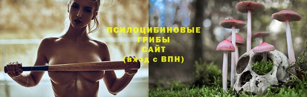 ECSTASY Кинешма